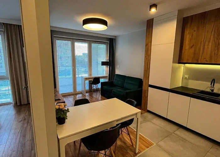 „cyprus Cat” Lublin